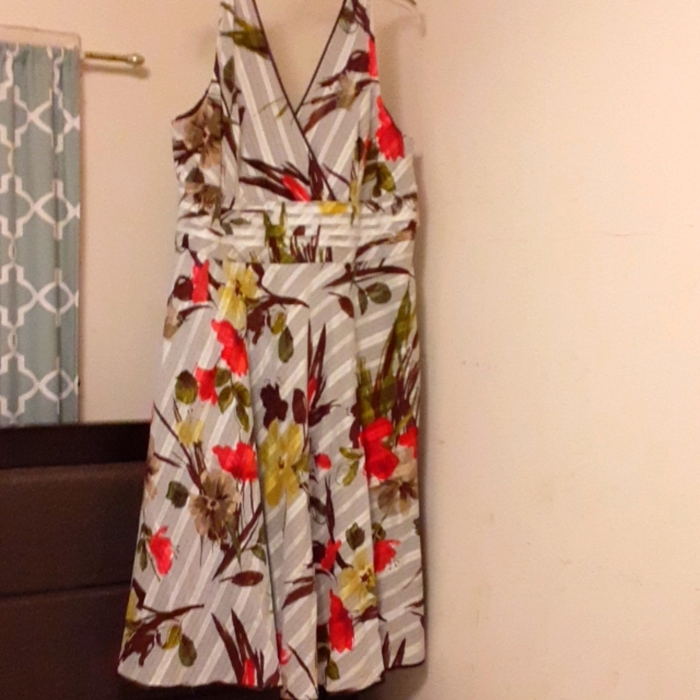 Dress Barn plus size 20w Dress
